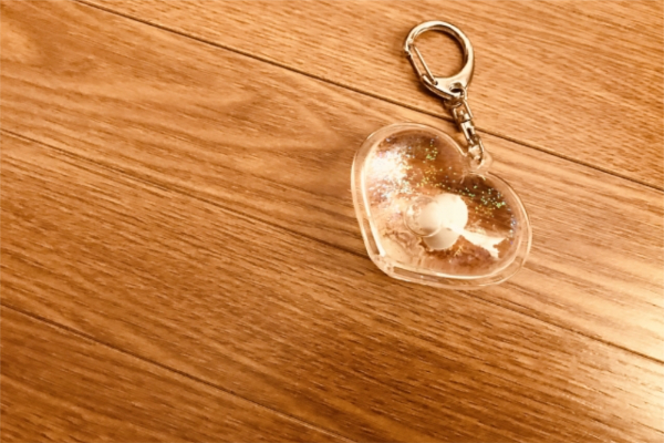 分別方法に悩むアクリルキーホルダー