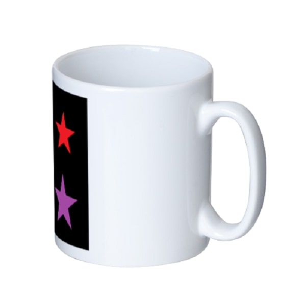 4つの星が目を引く「スター兄妹」