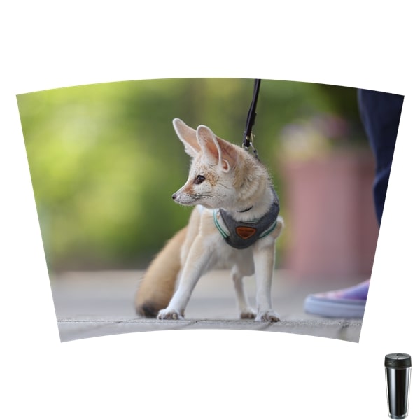 フェネックのじゅん タンブラー