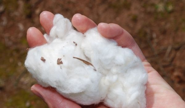 t シャツ オリジナル 最短