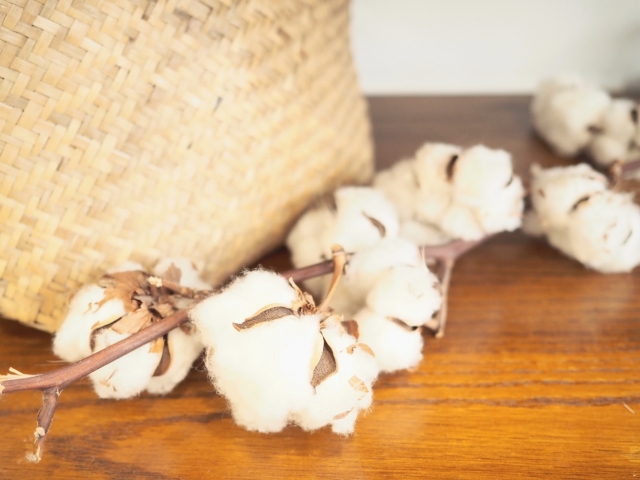 綿100%は保湿性がある