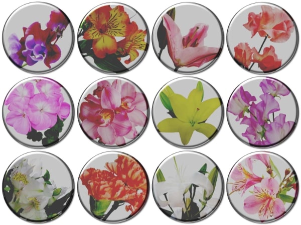 可愛いデザインの缶バッジ