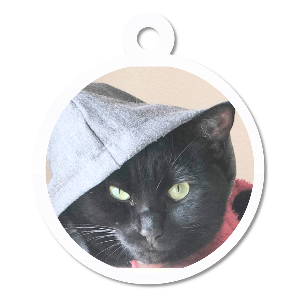 「2023年6月17日 」に作成したデザイン