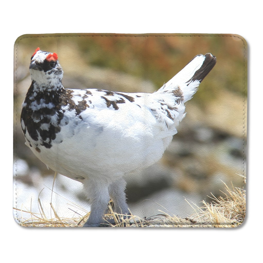 雷鳥 写真版 高級本革シープスキン帯なし手帳ケース M |雅 | UP-T