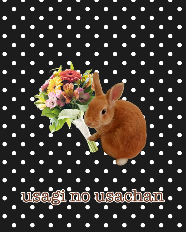 うさぎちゃん Amazon.co.jp: HAC おさんぽ うさぎちゃん うさぎ 約W9×D14.5