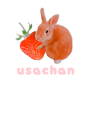 うさぎのうさちゃん*トレーナー❁.*・ﾟ(いちご大好き)（*usagi no