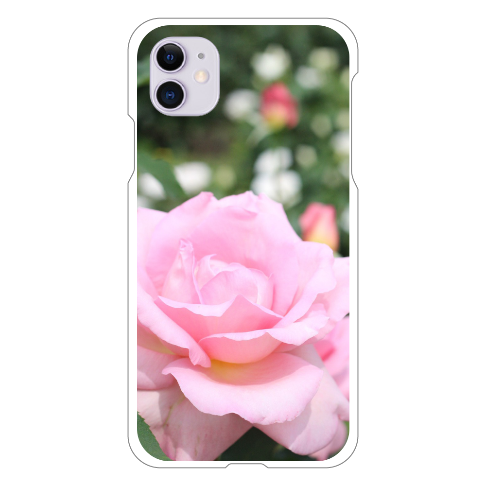 スマホケース iPhone11(白)/Pink rose iPhone 11(白）