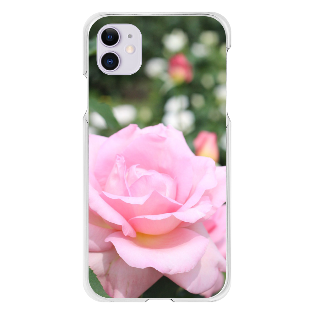 スマホケース iPhone11(透明)/Pink rose iPhone11(透明）