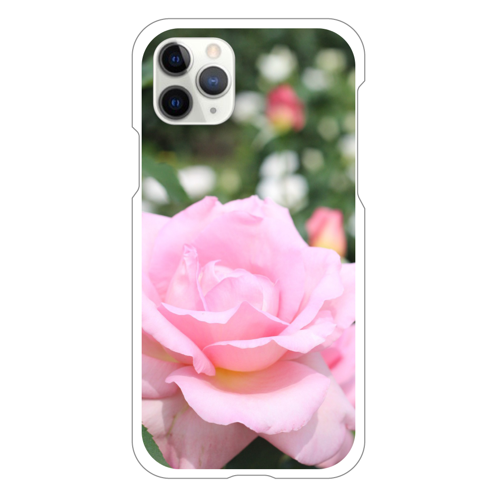 スマホケース iPhone11Pro(白)/Pink rose