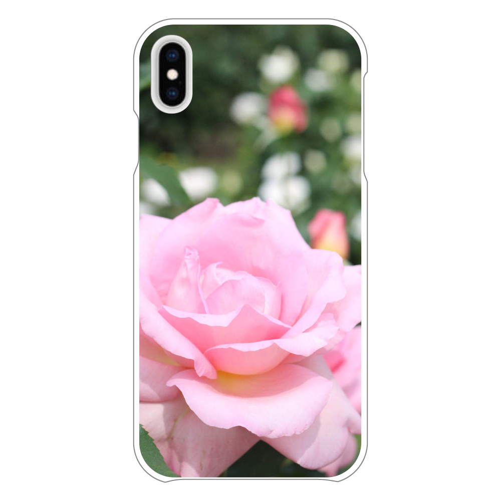 スマホケース iPhoneXsMAX(白)/Pink rose iPhoneXsMAX(白)
