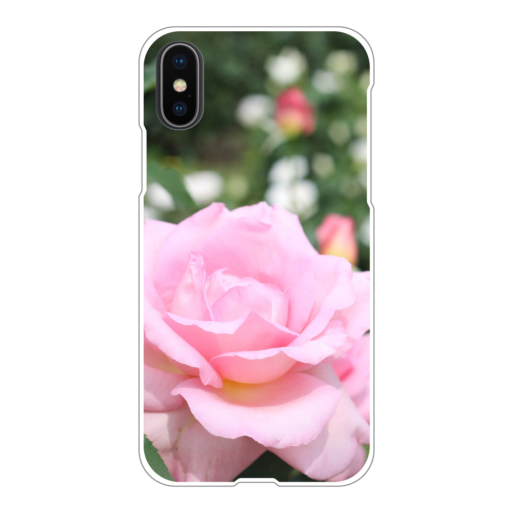 スマホケース iPhoneX/Xs(白)/Pink rose