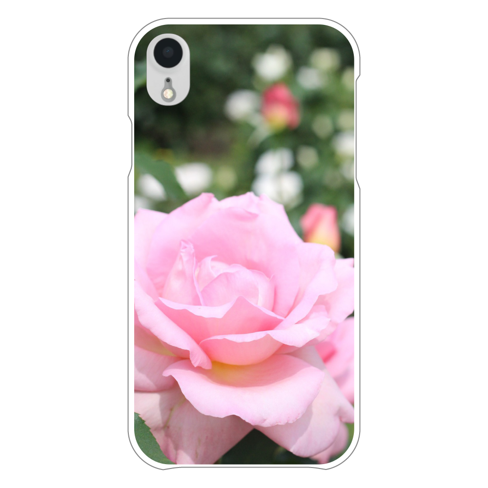スマホケース iPhoneXR(白)/Pink rose iPhoneXR(白)