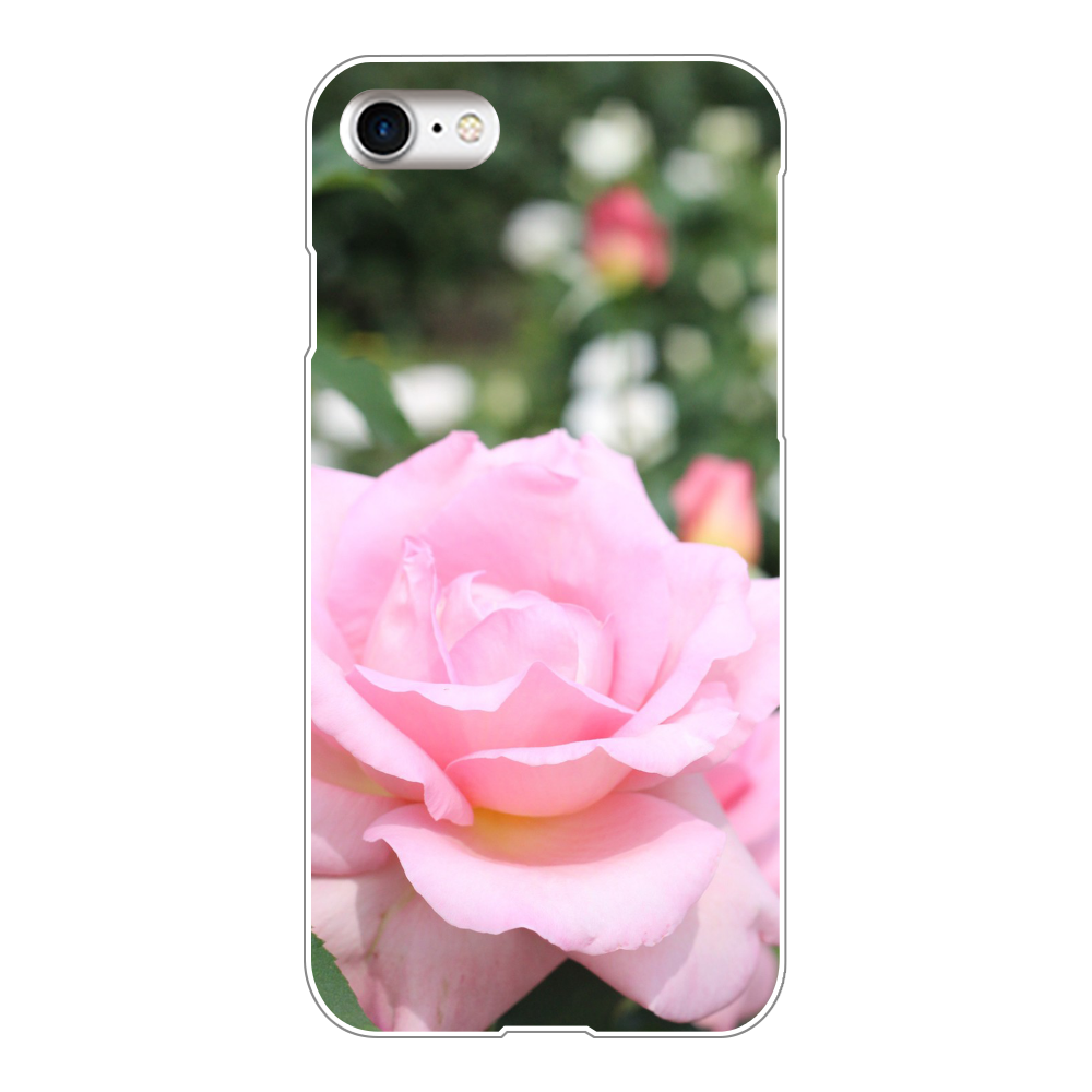 スマホケース iPhone8(白)/Pink rose