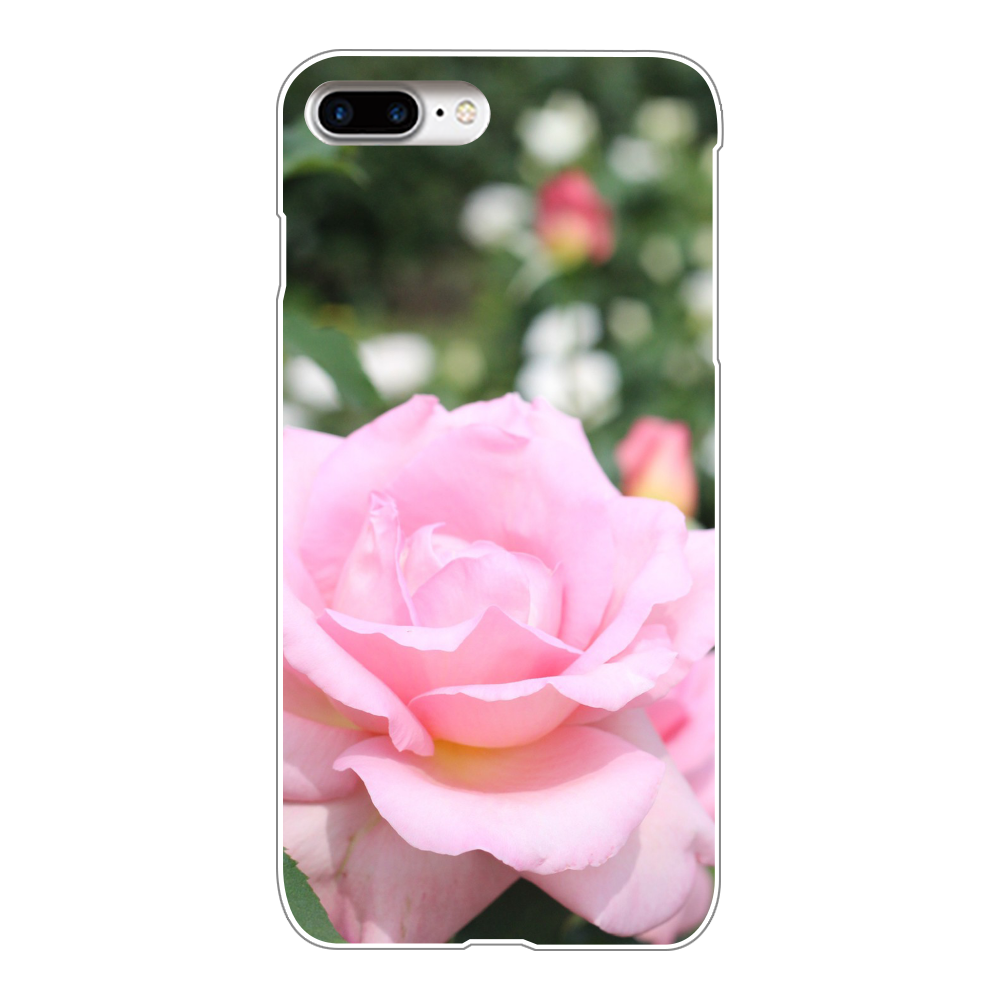 スマホケース iPhone8Plus(白)/Pink rose iPhone8Plus(白)