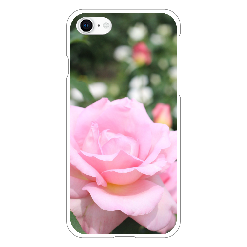 スマホケース iPhoneSE2(白) ホワイト/Pink rose iPhoneSE2/SE3 (第2世代・第3世代) (白)