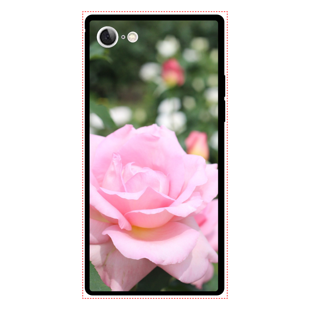 スマホケース 背面強化ガラス(スクエア）iPhone7/Pink rose iPhone7 背面強化ガラス(スクエア）