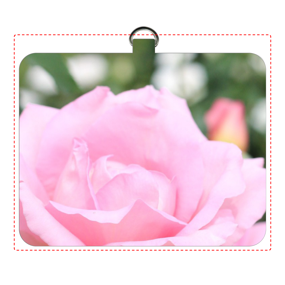 オリジナルパスケース/Pink rose パスケース