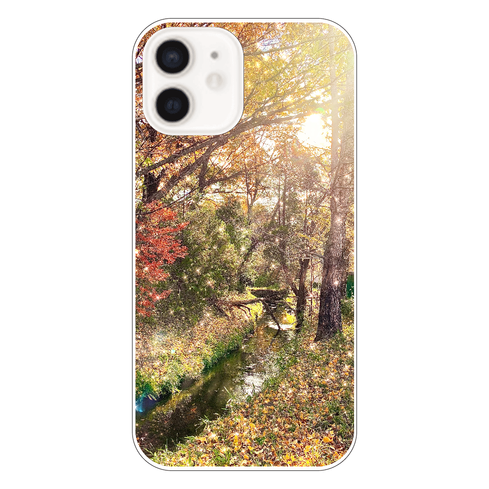 森の小川 iPhone12（透明）
