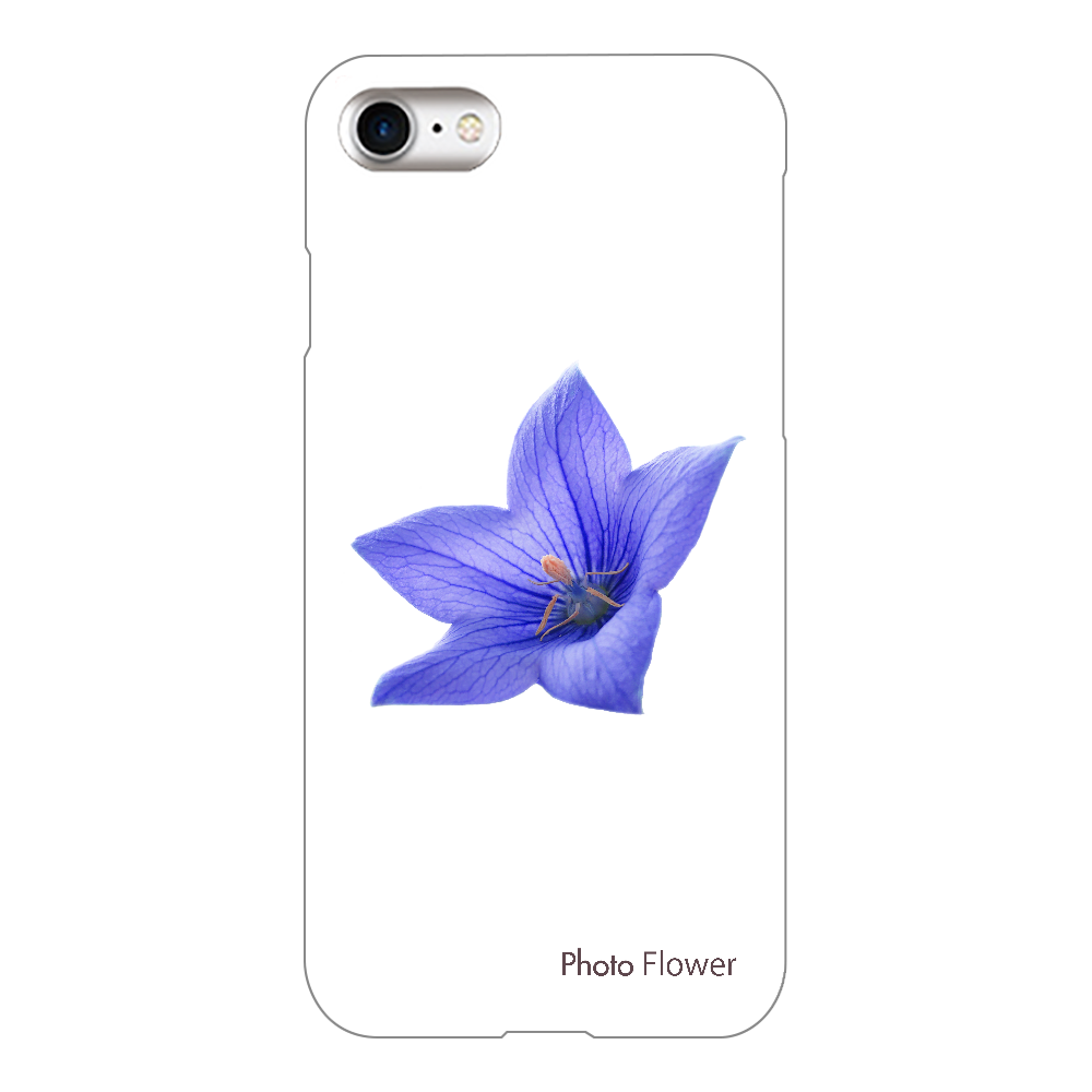 スマホケース　キキョウの花　ブルー iPhone7(透明)