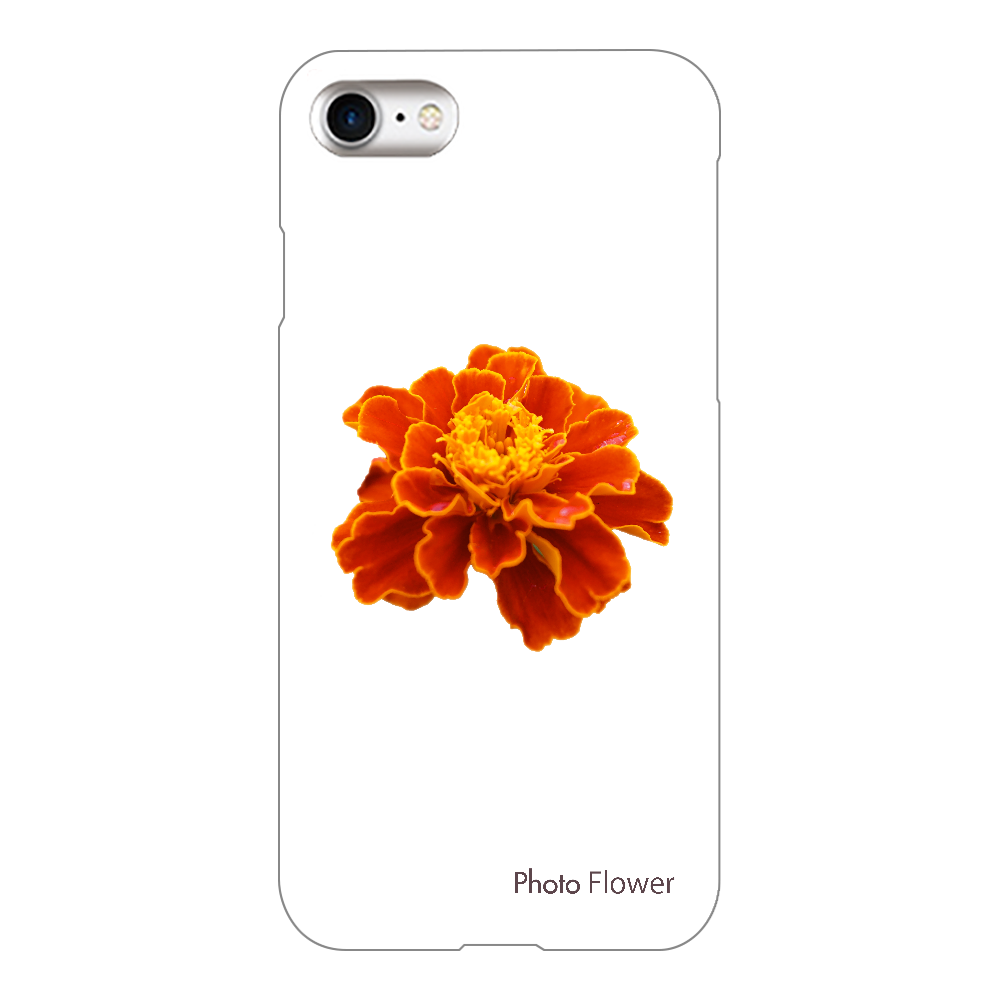 スマホケース　マリーゴールドの花　オレンジ iPhone7(透明)