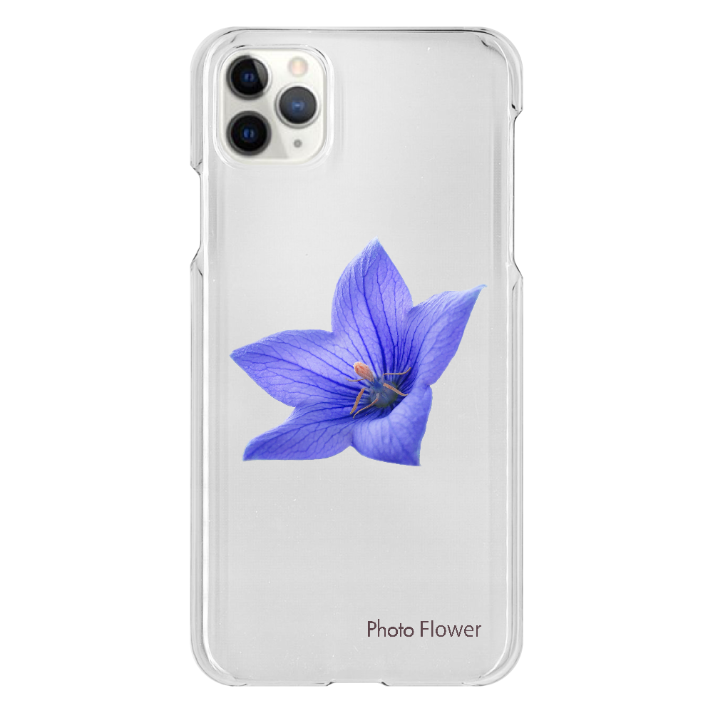 キキョウの花　ブルー iPhone 11 ProMax（透明）