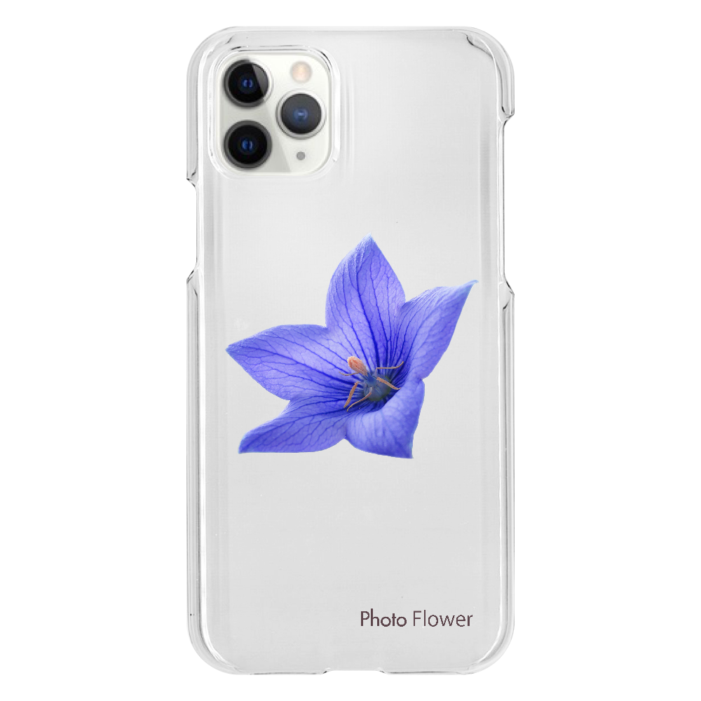 キキョウの花　ブルー iPhone11 Pro（透明）