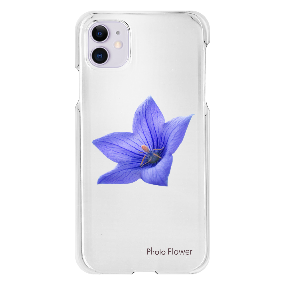 キキョウの花　ブルー iPhone11(透明）
