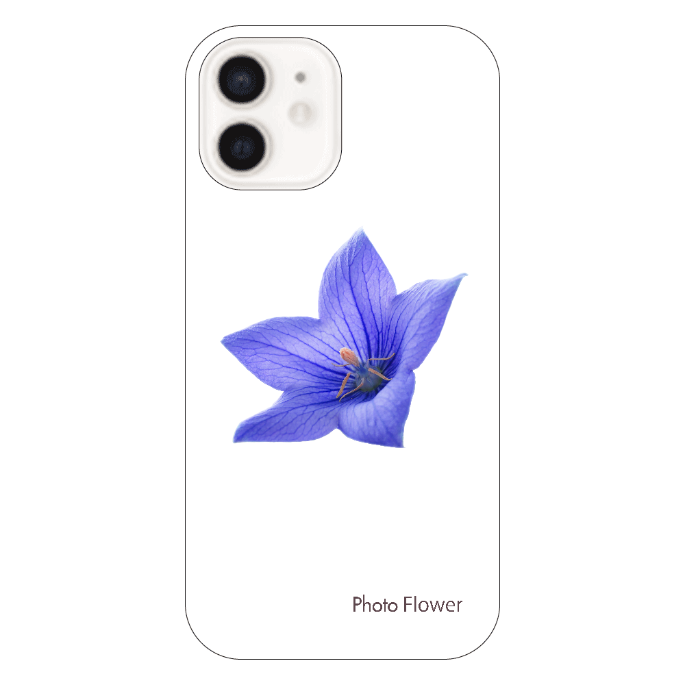 キキョウの花　ブルー iPhone12（透明）