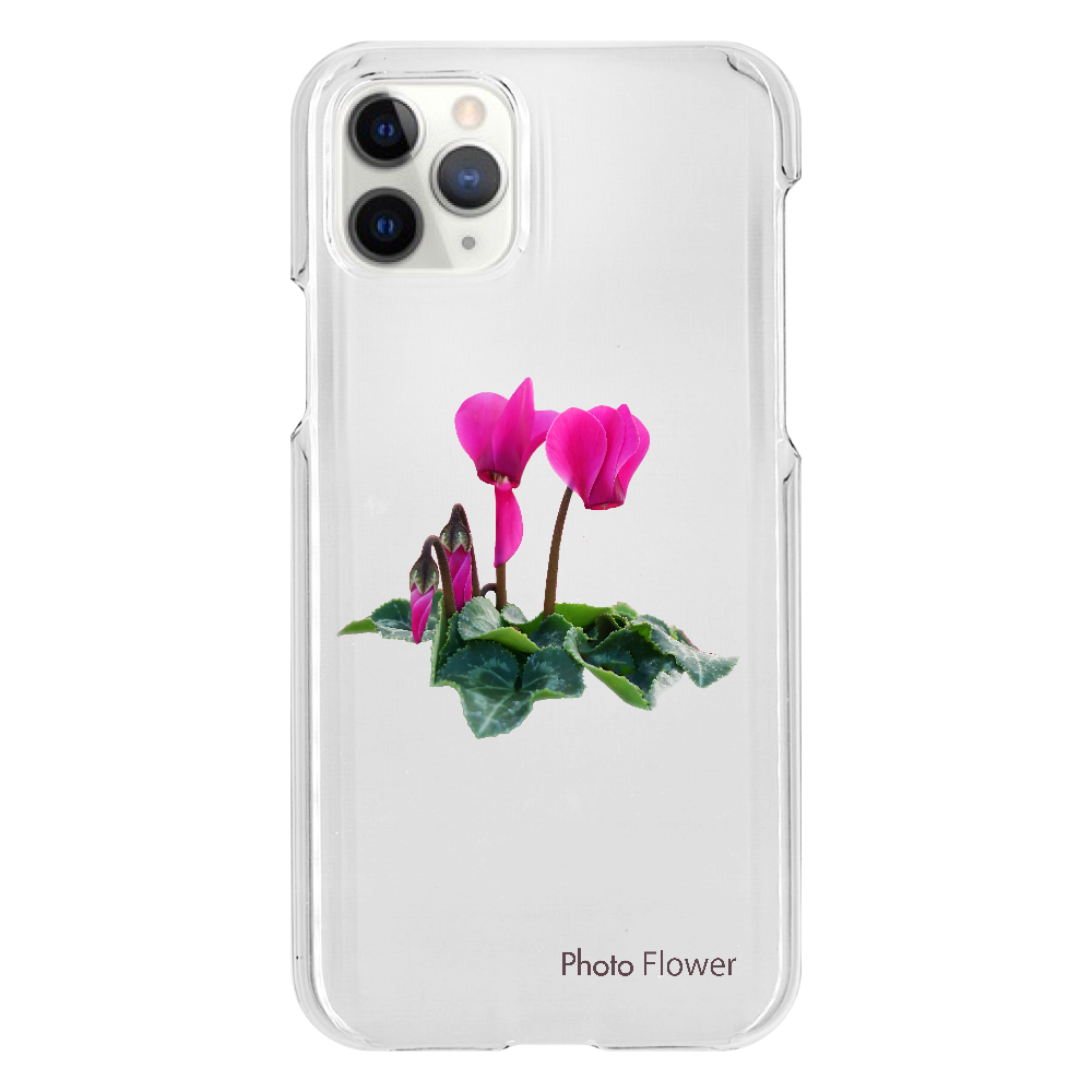 シクラメンの花　パープル iPhone11 Pro（透明）