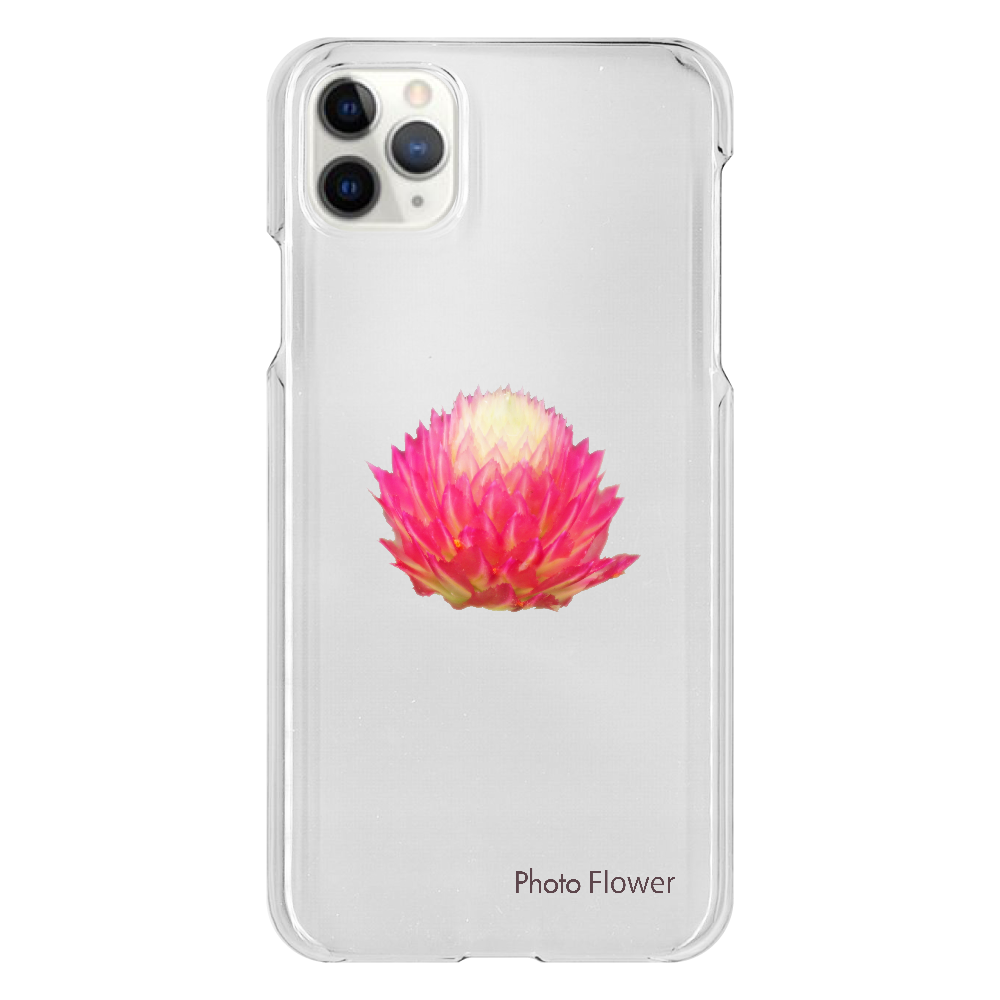 センニチコウの花　レッド iPhone 11 ProMax（透明）