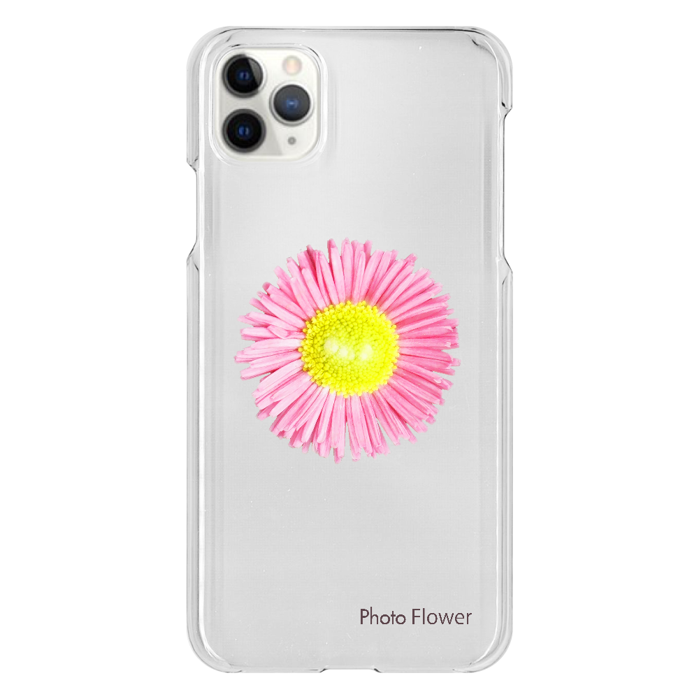 デージーの花　ピンク iPhone 11 ProMax（透明）