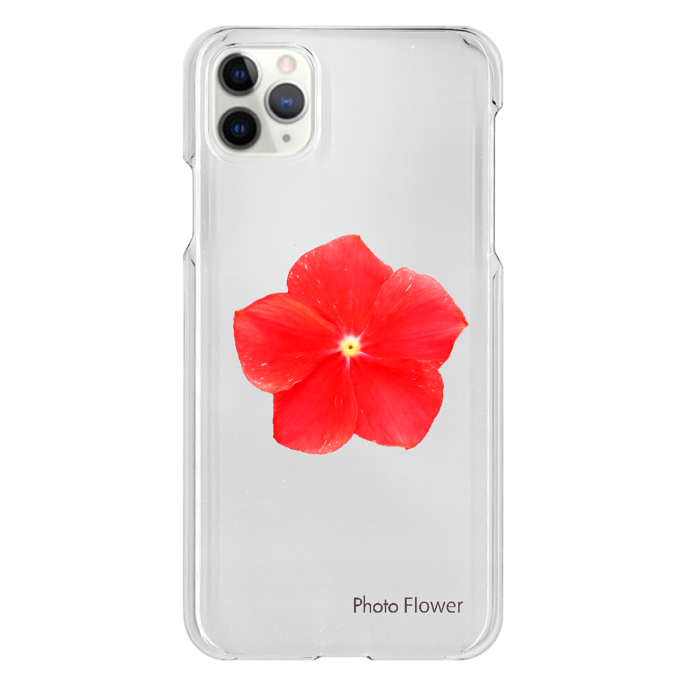 ニチニチソウの花　レッド iPhone 11 ProMax（透明）