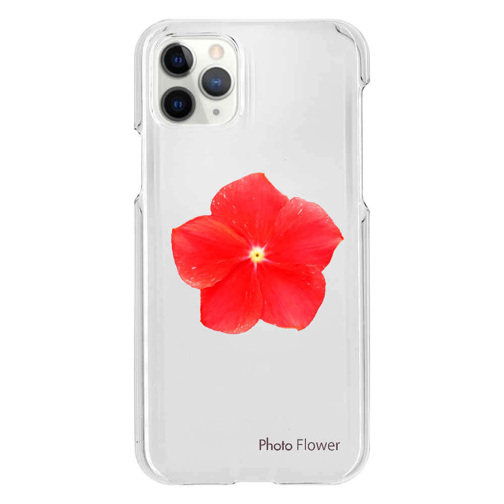 ニチニチソウの花　レッド iPhone11 Pro（透明）
