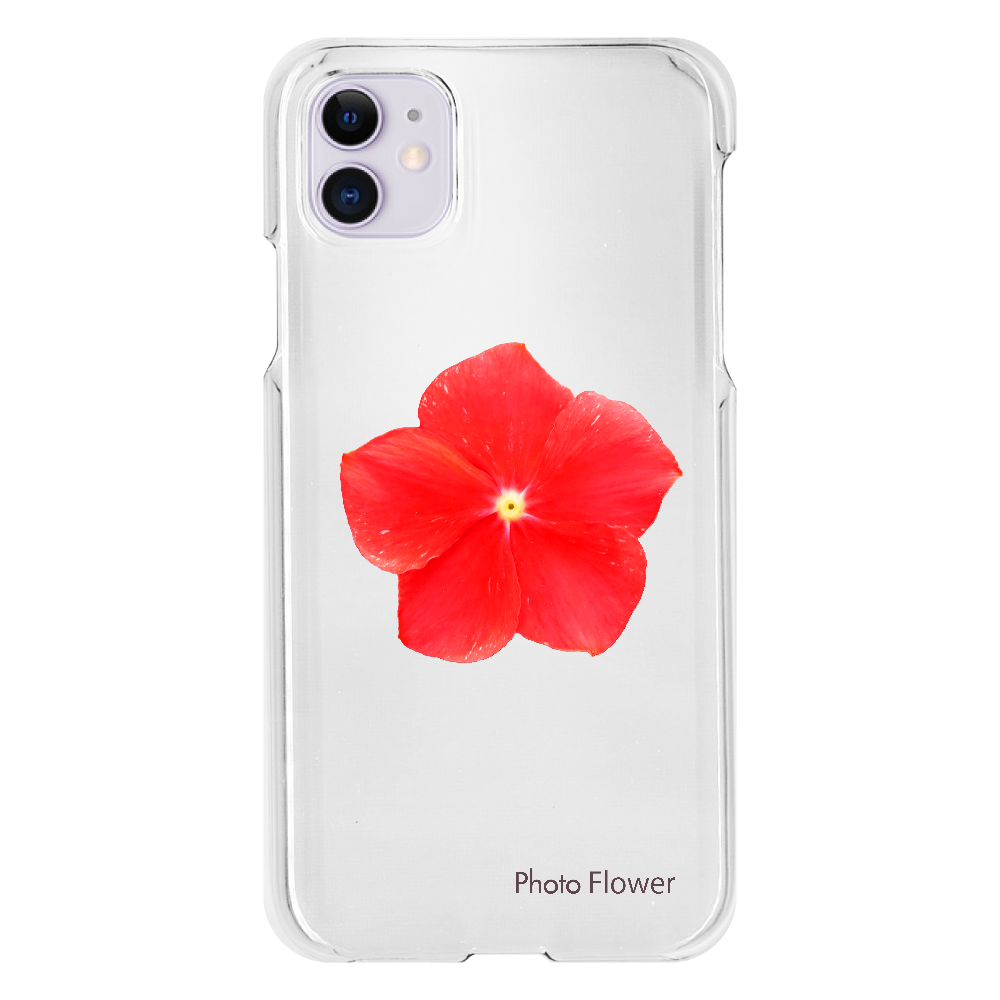ニチニチソウの花　レッド iPhone11(透明）
