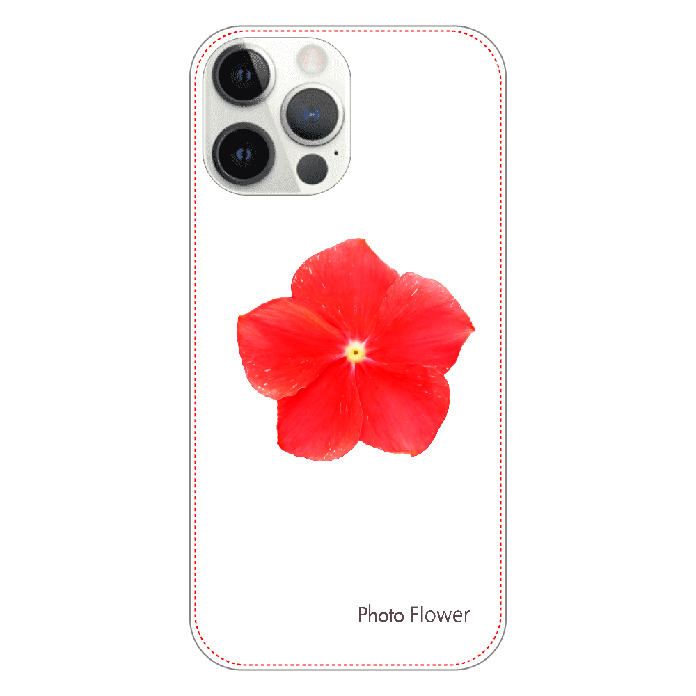 ニチニチソウの花　レッド iPhone12 ProMax（透明）