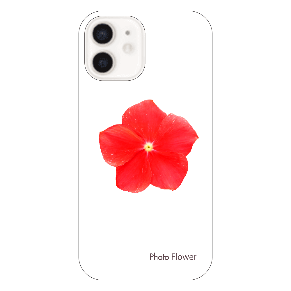 ニチニチソウの花　レッド iPhone12（透明）