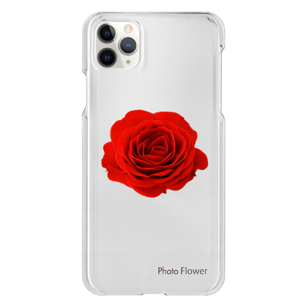 バラの花　レッド iPhone 11 ProMax（透明）