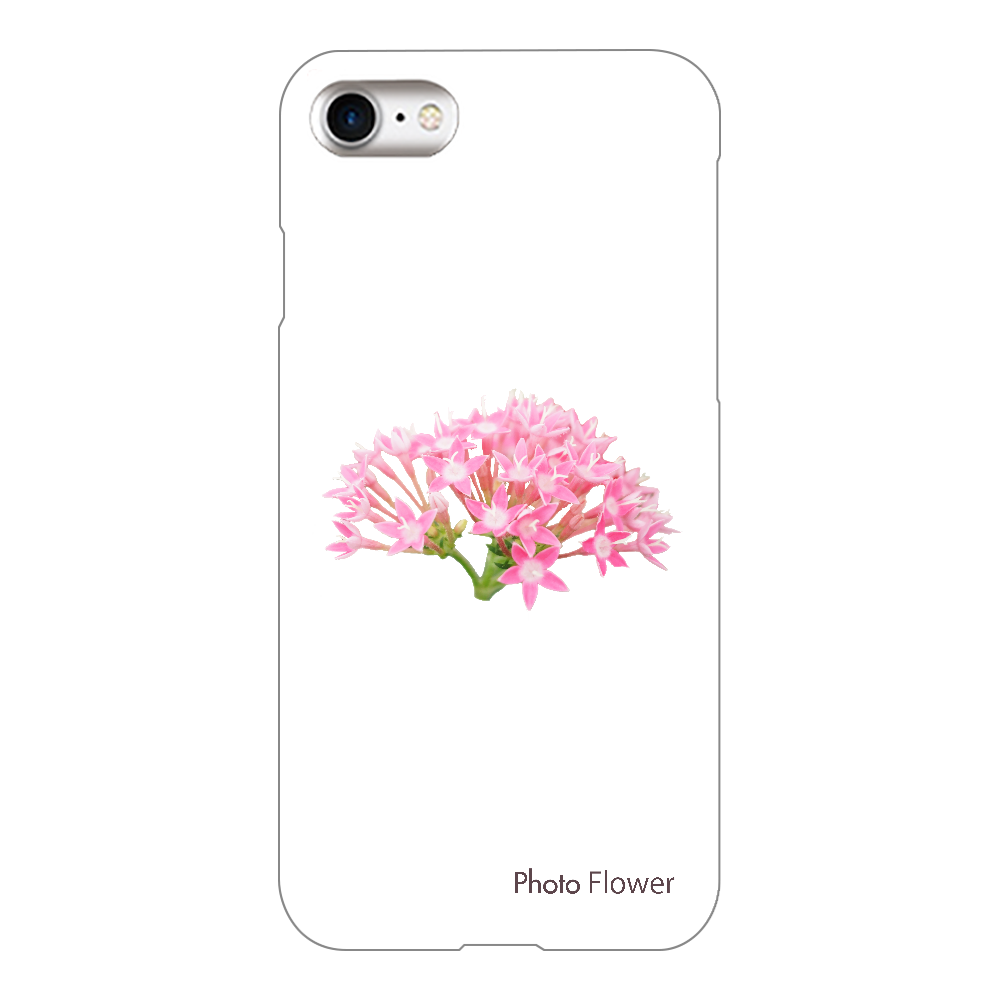 バーベナの花　ピンク iPhone8(透明)