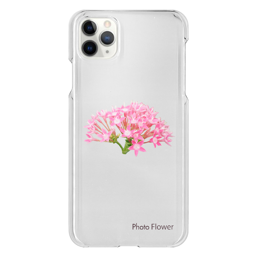 バーベナの花　ピンク iPhone 11 ProMax（透明）