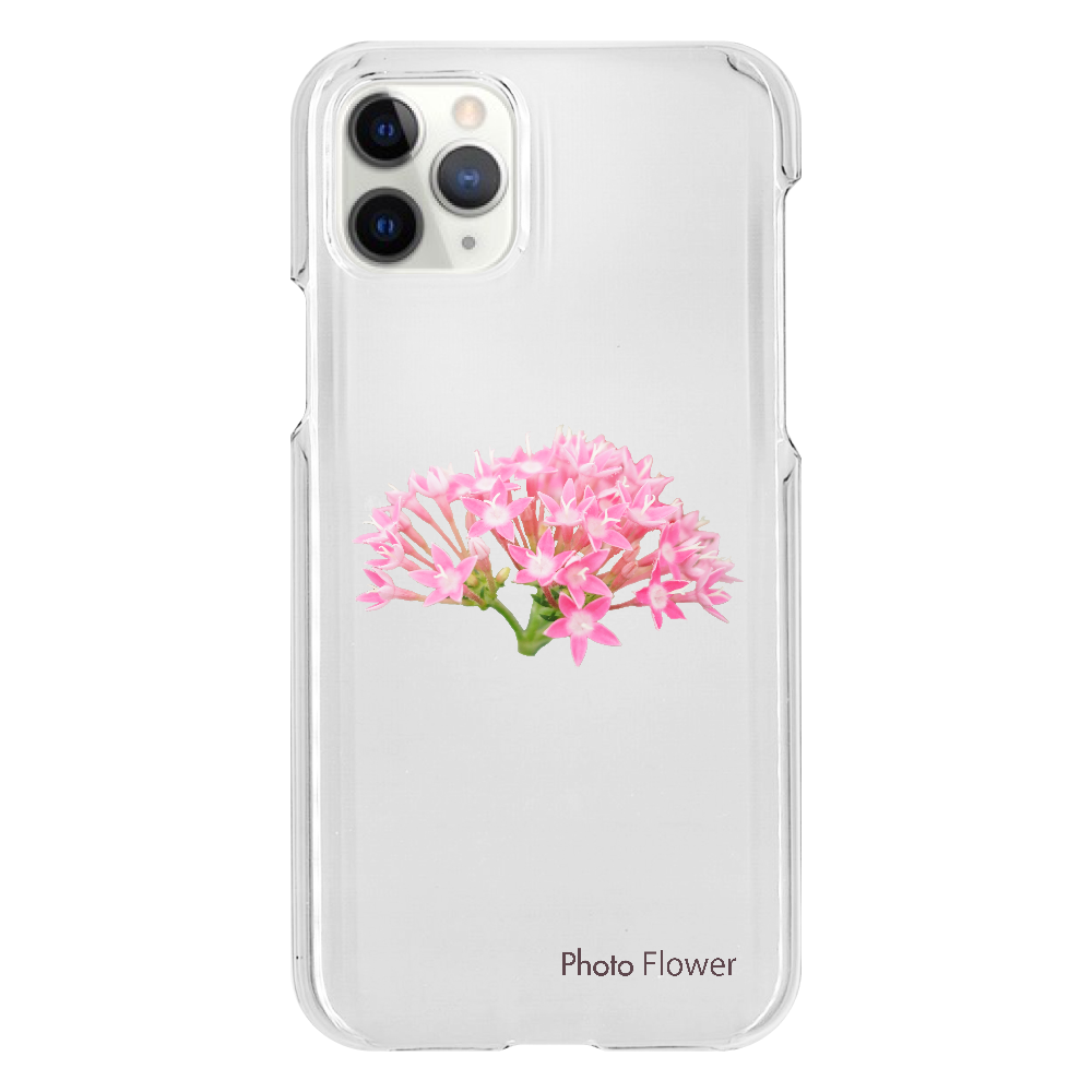 バーベナの花　ピンク iPhone11 Pro（透明）