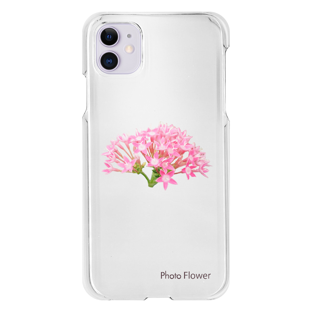 バーベナの花　ピンク iPhone11(透明）