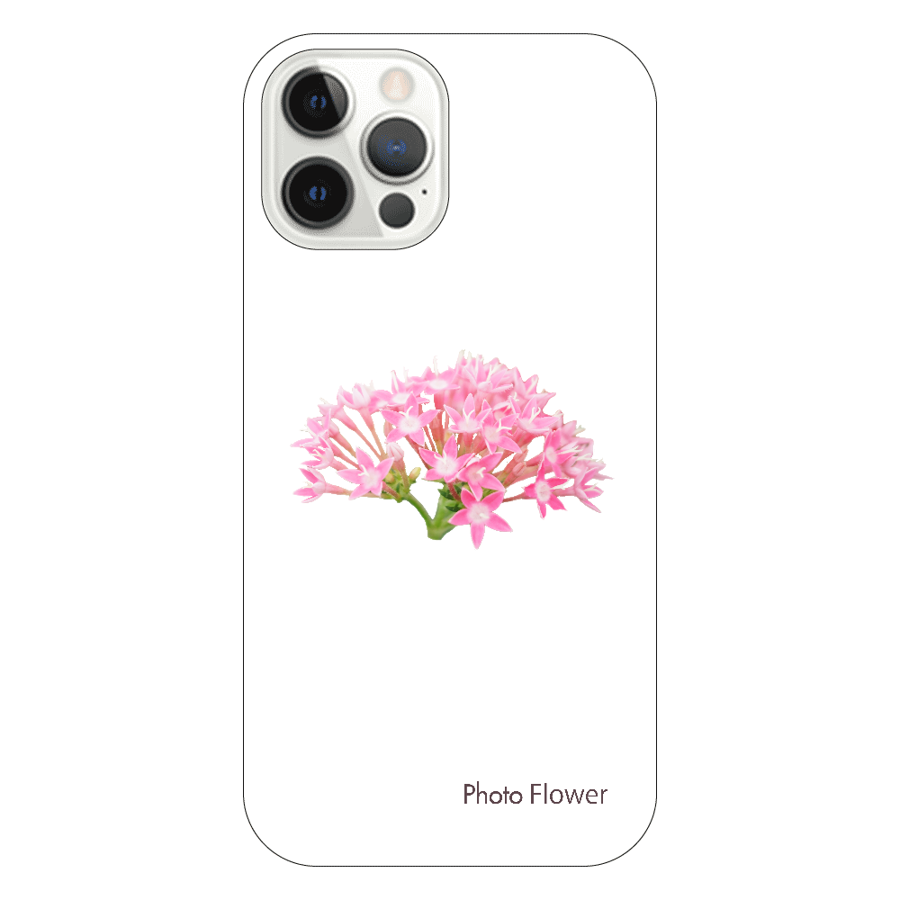 バーベナの花　ピンク iPhone12 Pro(透明）