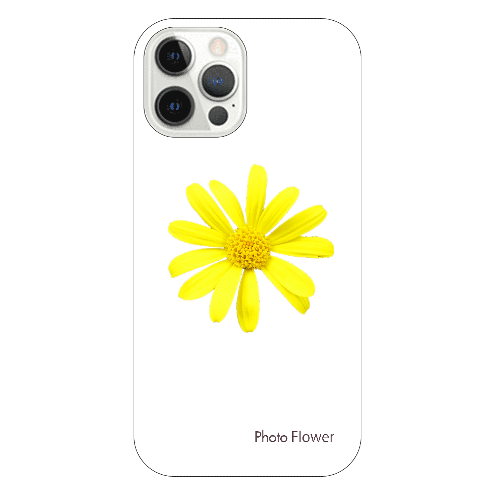 マーガレットコスモスの花　イエロー iPhone12 Pro(透明）