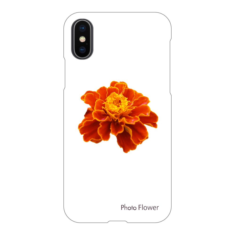 マリーゴールドの花　オレンジ iPhoneX/Xs(透明)