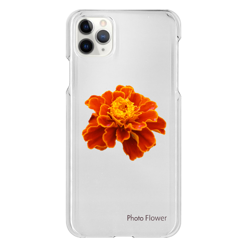 マリーゴールドの花　オレンジ iPhone 11 ProMax（透明）
