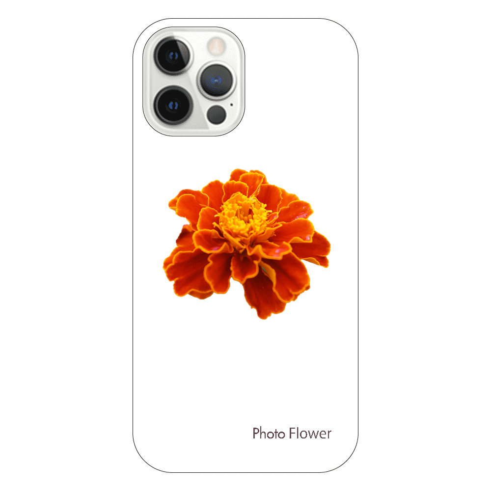 マリーゴールドの花　オレンジ iPhone12 Pro(透明）