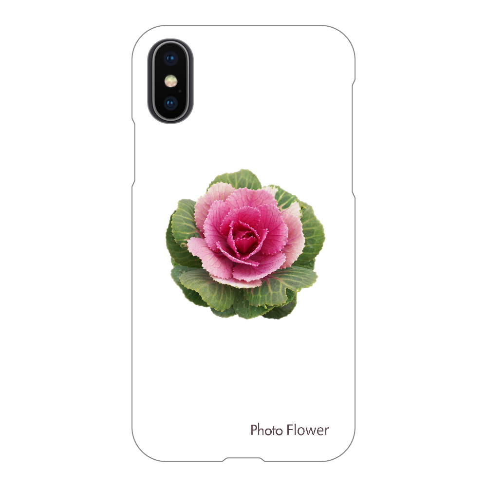 ハボタンの花　丸葉　レッド iPhoneX/Xs(透明)