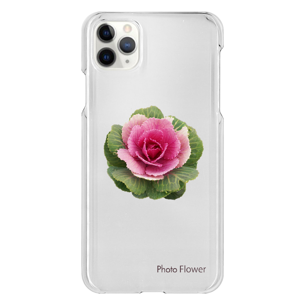 ハボタンの花　丸葉　レッド iPhone 11 ProMax（透明）
