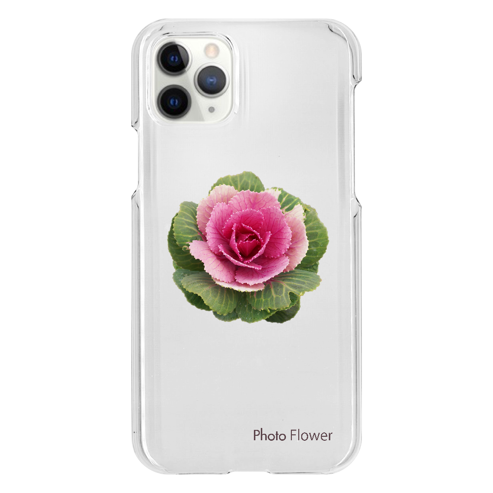 ハボタンの花　丸葉　レッド iPhone11 Pro（透明）