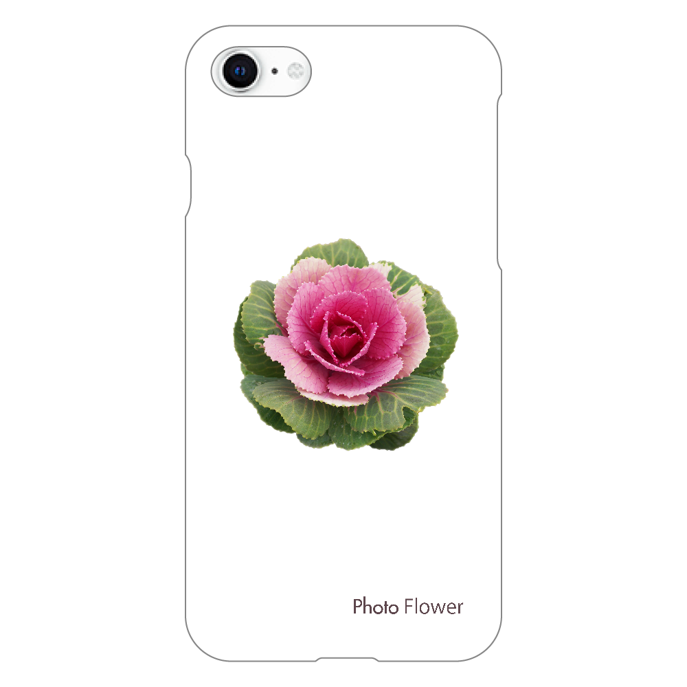 ハボタンの花　丸葉　レッド iPhoneSE2/SE3 (第2世代・第3世代) (透明）